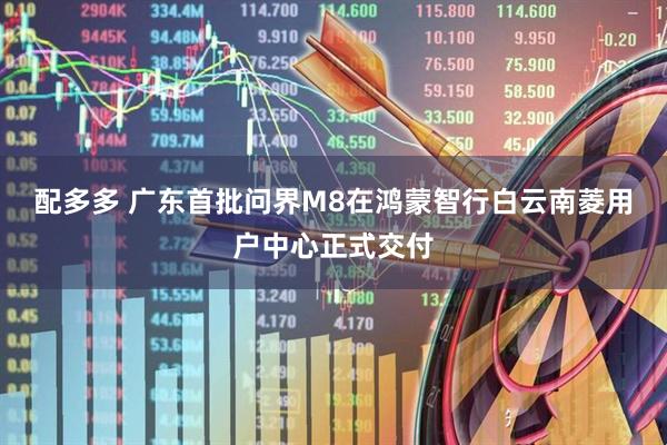 配多多 广东首批问界M8在鸿蒙智行白云南菱用户中心正式交付