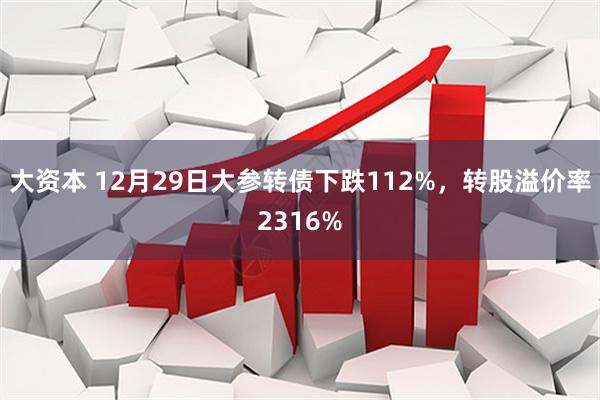 大资本 12月29日大参转债下跌112%，转股溢价率2316%